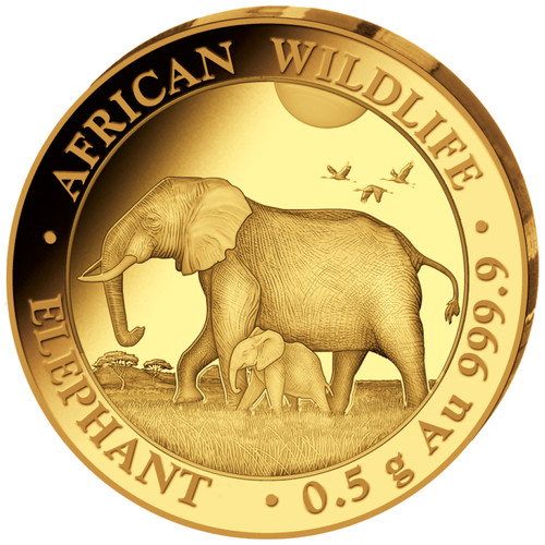 Goldmünze elefant african - elefant,