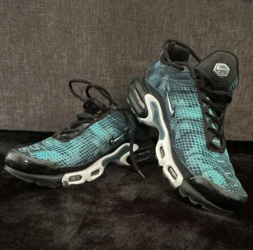 Nike air max plus - air,
