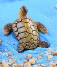 Schildkröte feen garten - schildkröte,