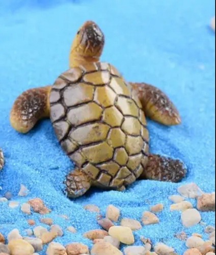 Schildkröte feen garten - schildkröte,