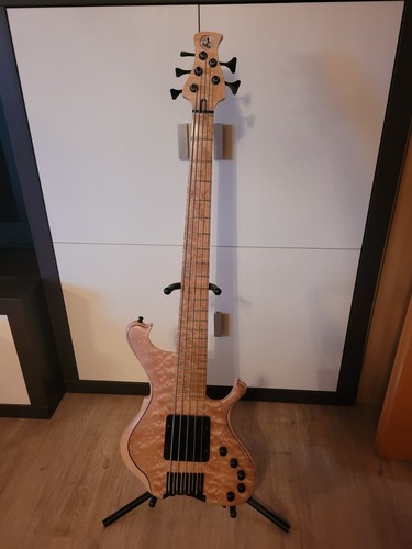 Bassgitarre waja bass 5 - e-bassgitarre,