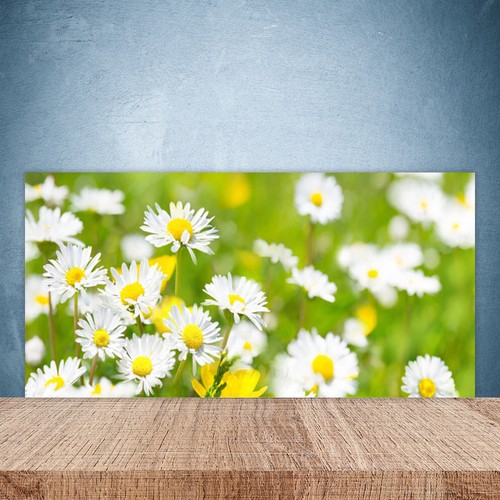 Küchenrückwand aus glas - küchenrückwand,