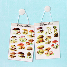 Miniatur Wandbild Poster Pilze