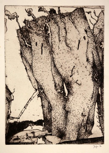 Horst janssen felsen 1970 - horst, "felsen"