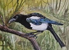 Aquarell Bild ORIGINAL Gemälde Malerei "Elster" Vogel Aquarell Unikat