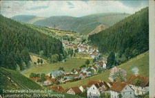 Ansichtskarte Schwarzwald Stutzhaus bei Luisenthal Thüringen (Nr.9401)