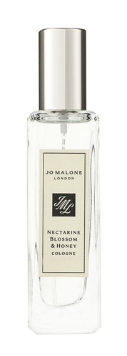 Malone nectarine blossom - nectarine, &