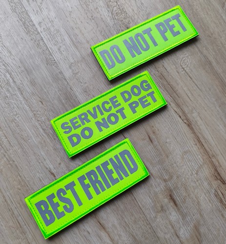 Not pet service - service, best