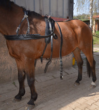 Brustblattgeschirr mit