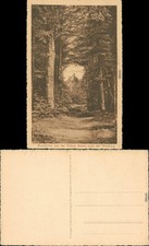 Ansichtskarte Eisenach Durchblick von der Hohen Sonne nach der Wartburg 1932