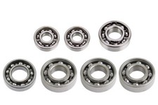 Kugellagersatz (7-teilig) für