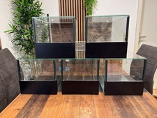 Verkaufe 5 Stück Glas