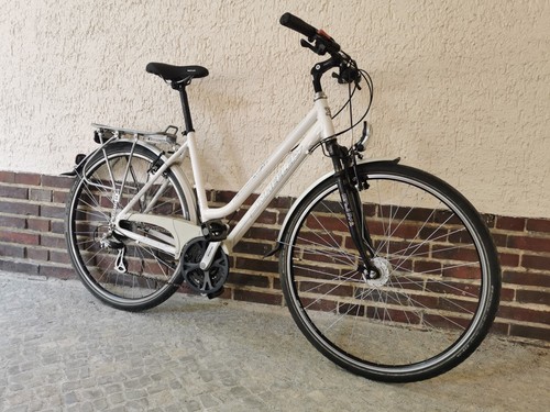 Wheeler ecorider lady - wheeler,