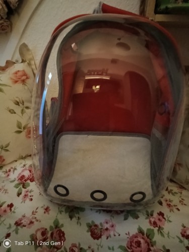 Katzen rucksack rot - katzen,
