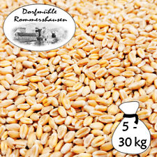 5-30kg Weizen Gereinigt Hühnerfutter Geflügelfutter Futterweizen Vogelfutter DML