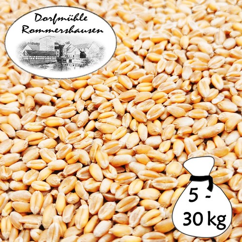 30kg weizen gereinigt - 5-30kg,