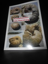 Kreidefossilien vom Haarstrang Frank Wittler