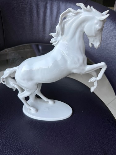 Steigendes pferd hengst - pferd,
