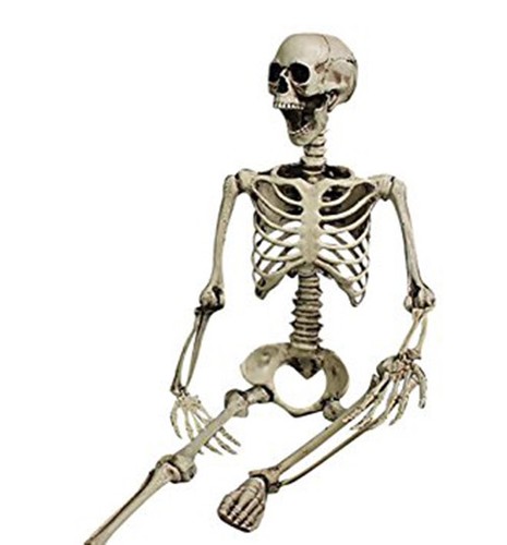 Skelett halloween 96cm - skelett,