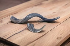 Jemenitisches Shofar Kudu Horn Set XL 32” + 12” Widder Widder Horn KOSCHER ko...