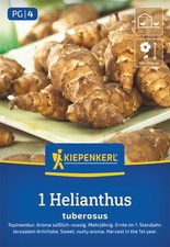 Kiepenkerl Topinambur