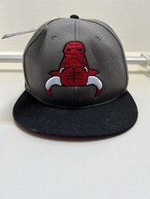Chicago Bulls Cap