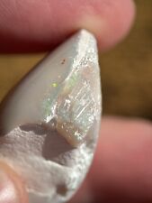 Coober Pedy fossiler Opal