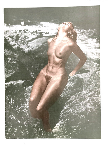 Visuell scandinavian models - scandinavian, um