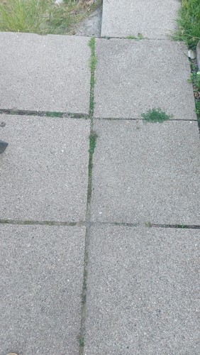 Gehwegplatten ca 10 qm - 40,