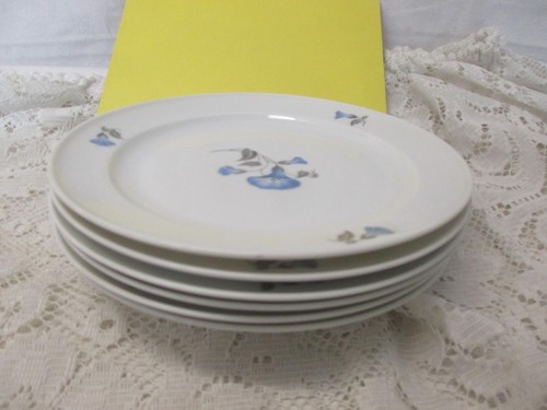 1936 wersin rosenthal - wersin,