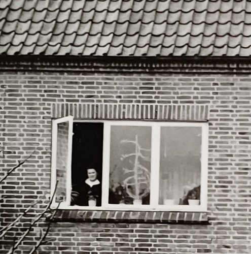 Frau steht fenster eines - steht,
