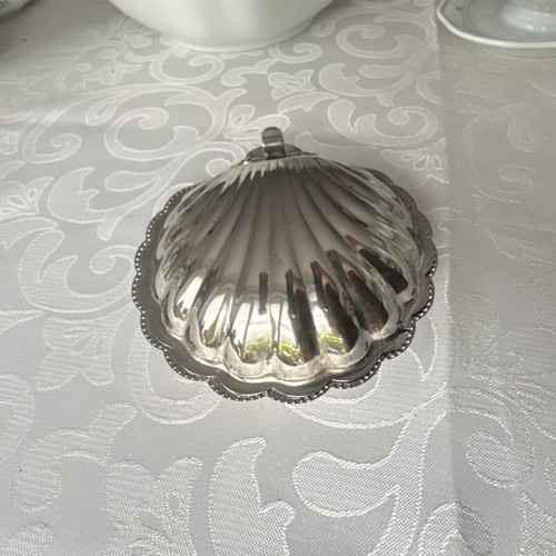 Versilberte muschelform - versilberte,