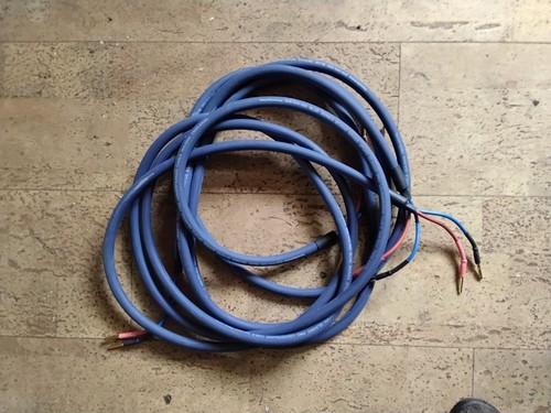 Van damme blue - , studio