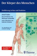 Der Körper des Menschen