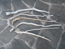 5 x Skulptur Schwemmholz Treibholz Figur Tier Schlange Deko basteln 84 - 97 cm