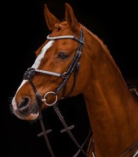 Mexikanisches Reithalfter Deister Trense Strass Pony VB WB XF Schwarz Braun TY