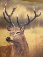 Herrenbundlederhose aus