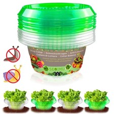 Schneckenkragen-Set  für