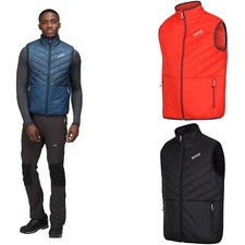 Regatta Weste Steppweste leicht für Herren Freezeway III schwarz orange S-XXXL