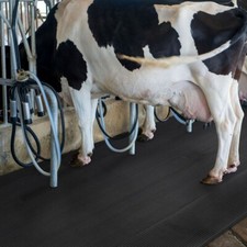 Stallmatten aus Gummi für Tierhaltung | Stärke: 10 mm | 200 x 100 cm