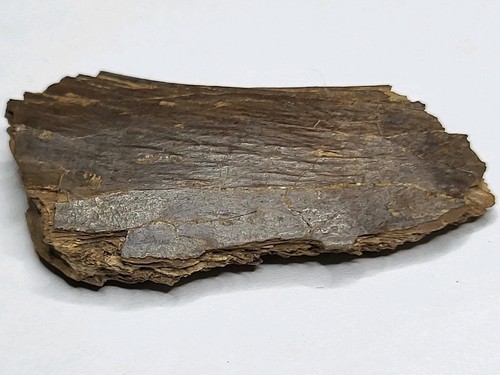 Atemberaubendes rex - atemberaubendes, t-rex