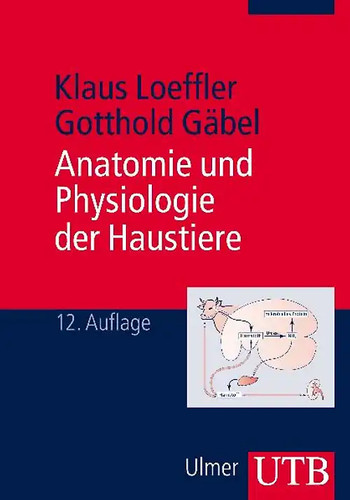 Anatomie und physiologie - anatomie,