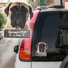 Bullmastiff an Bord