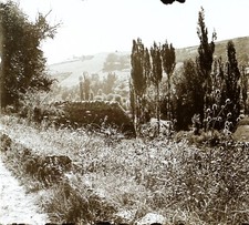 Frankreich Landschaft Bäume