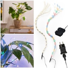 Pflanzen-Beleuchtung