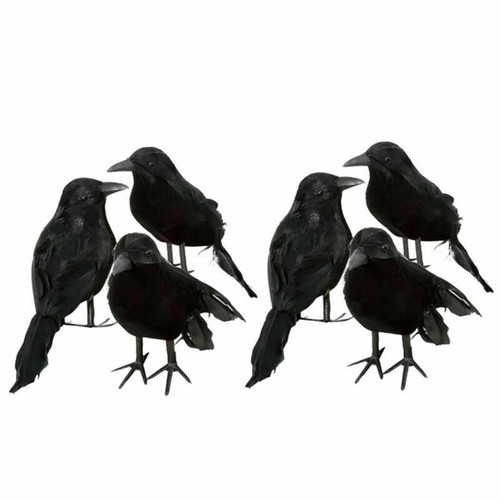 6er set schwarz taubenschreck - 6er-set,