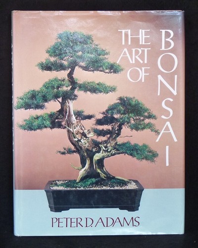 The art bonsai von - bonsai,