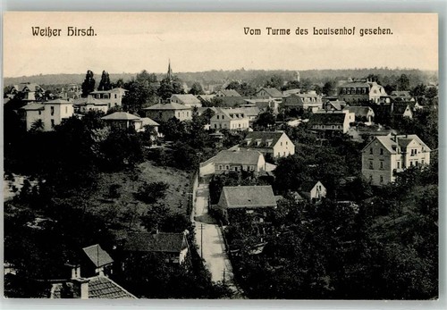 10736586 8000 buehlau - 10736586,