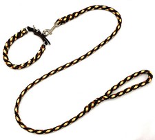 Hundeleine + Hundehalsband