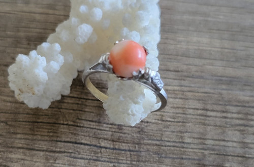 Korallen ring silber 54 - ring,